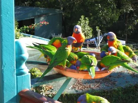 Riviera Bed & Breakfast Gold Coast 3*,  Australia