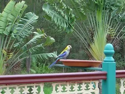 Riviera Bed & Breakfast Gold Coast
